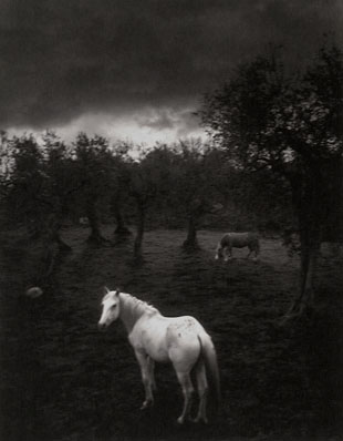 Pentti Sammallahti