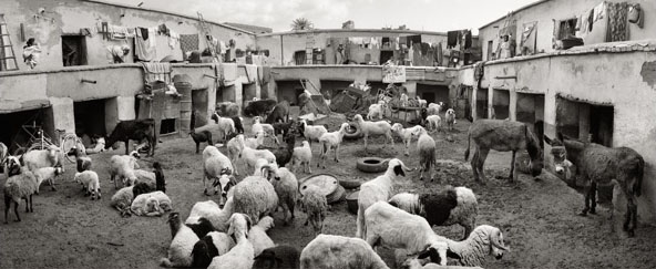 Pentti Sammallahti