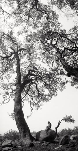 Pentti Sammallahti