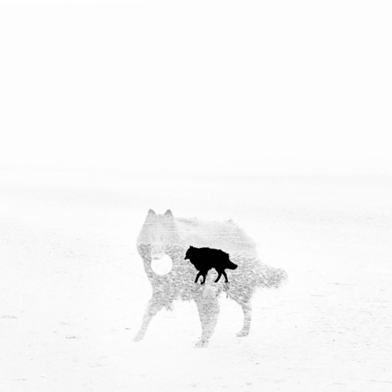 Michael Ackerman