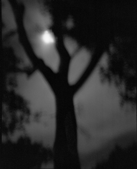 Michael Ackerman