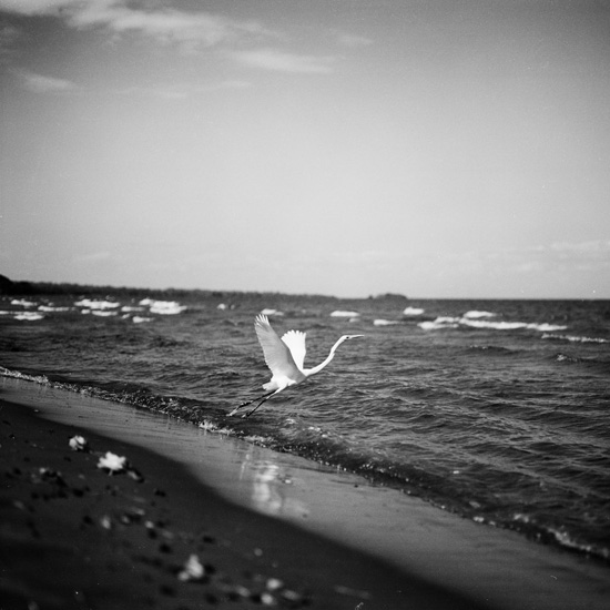 Michael Ackerman