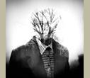 Michael Ackerman