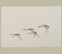 Masao Yamamoto