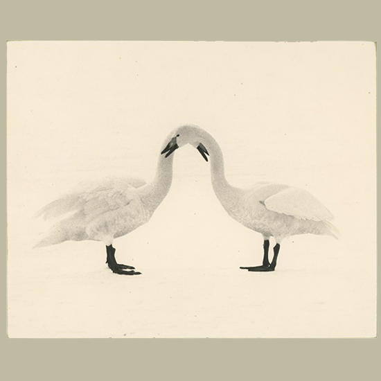 Masao Yamamoto