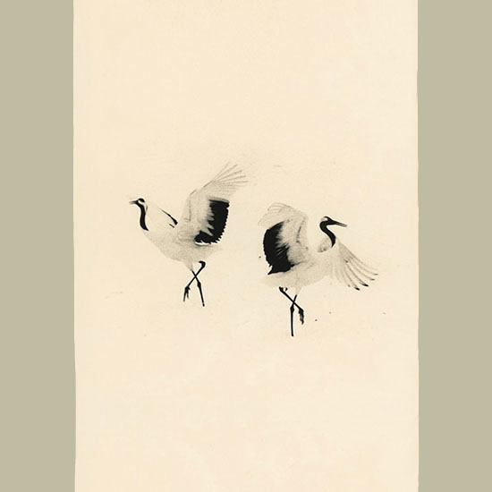 Masao Yamamoto