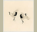 Masao Yamamoto