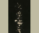 Masao Yamamoto