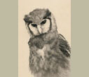 Masao Yamamoto