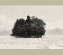 Masao Yamamoto